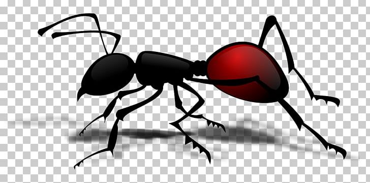 Ant Insect PNG, Clipart, Animal, Ants, Ant Vector, Arthropod, Black And White Free PNG Download