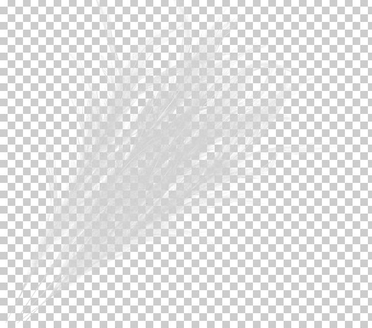 Feather White PNG, Clipart, Black And White, Feather, George Michael, Grass, Quill Free PNG Download