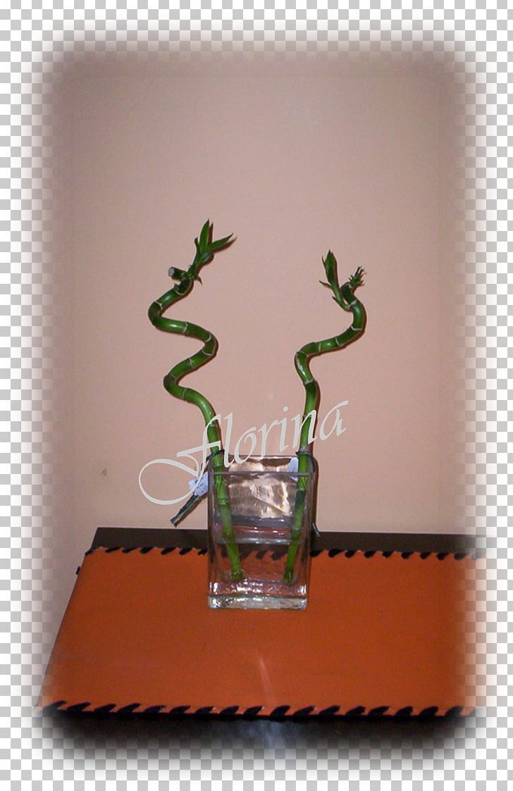 Houseplant Flowerpot Still Life Photography PNG, Clipart, Art, Bambu, Flowerpot, Houseplant, Ikebana Free PNG Download