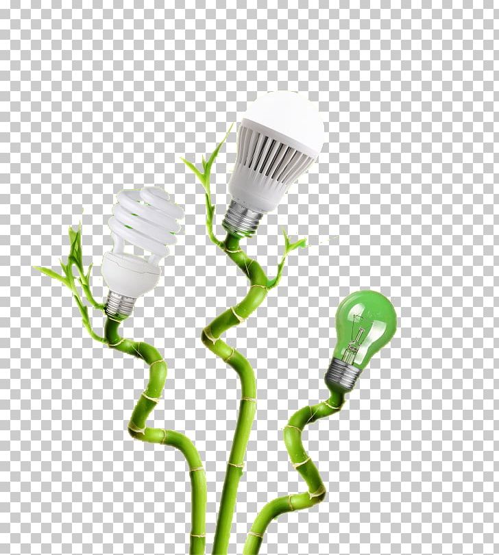 Incandescent Light Bulb Lamp Electric Light PNG, Clipart, Bamboo, Bulb, Christmas Lights, Creative, Electricity Free PNG Download