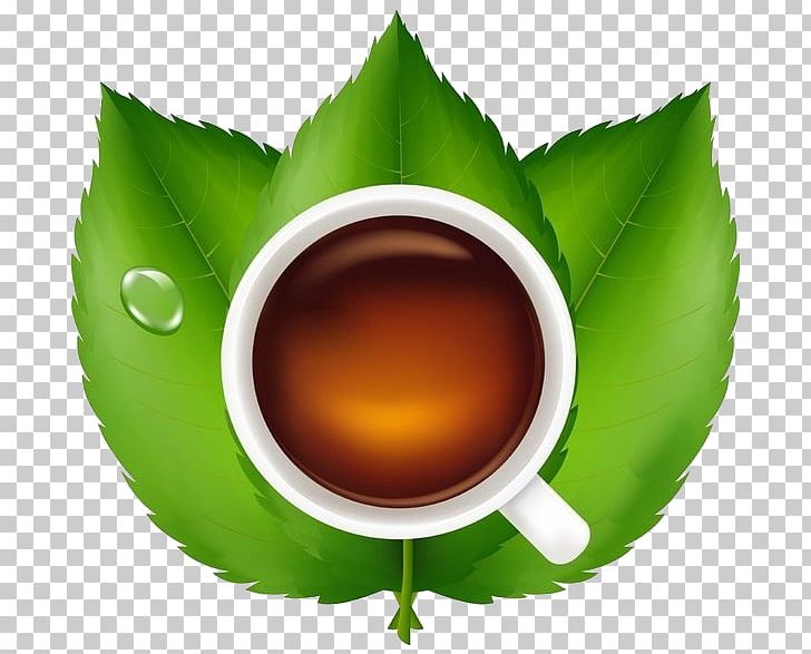 Teacup Green Tea Earl Grey Tea Leaf PNG, Clipart, Black Tea, Coffee Cup, Computer Wallpaper, Cup, Drink Free PNG Download