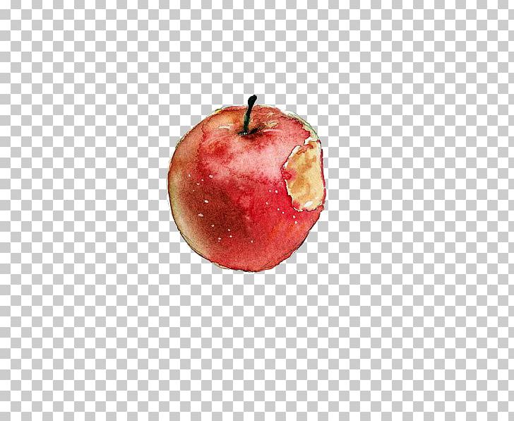 Watercolor Painting Apple Sketch PNG, Clipart, Apple, Apple Fruit, Apple Logo, Apples, Apple Tree Free PNG Download