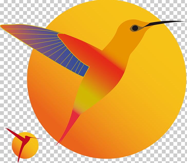 Hummingbird PNG, Clipart, Animals, Beak, Bird, Circle, Computer Icons Free PNG Download