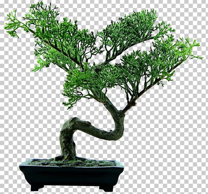 I Eat Plants For A Living Gratitude Honest Where Ive Been That Is All PNG, Clipart, Bonsai, Bonsai Tree, Flowerpot, For A Living, Grass Free PNG Download