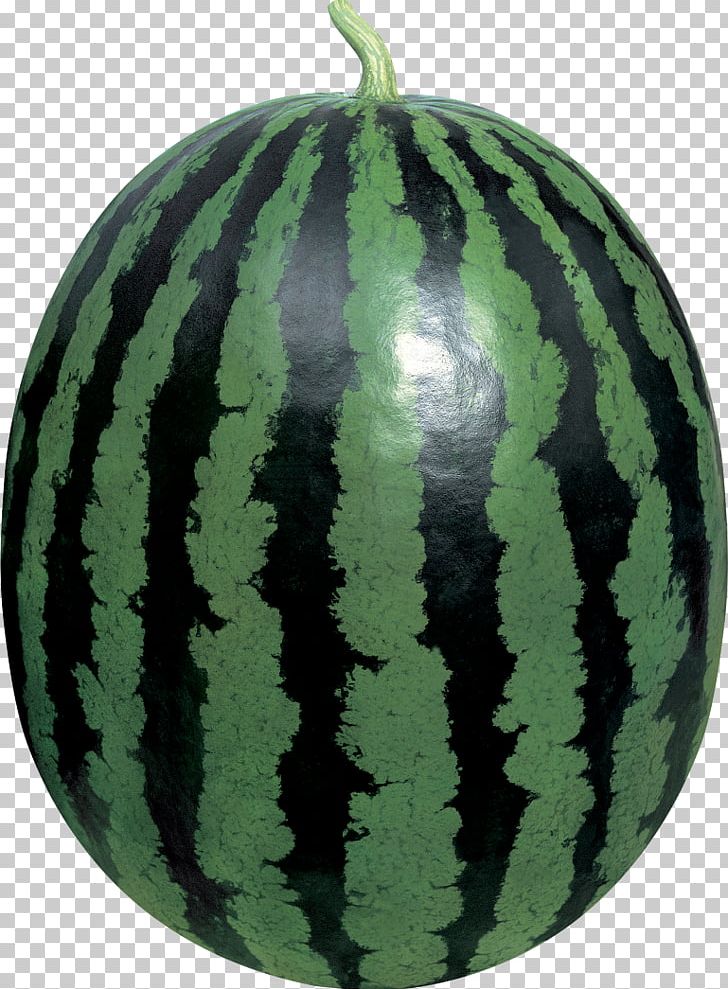 Watermelon Winter Squash Cucurbita PNG, Clipart, 215, Citrullus, Cucumber Gourd And Melon Family, Cucurbita, Fruit Free PNG Download