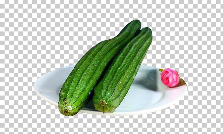 Cucumber Zucchini Melon PNG, Clipart, Bitter Melon, Cucumber, Cucumber Gourd And Melon Family, Cucumis, Dishes Free PNG Download