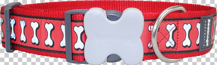 Dog Collar Dingo Dog Collar Puppy PNG, Clipart, Animal, Baseball Protective Gear, Brand, Collar, Dingo Free PNG Download