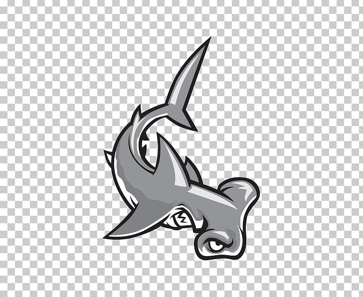 bonnethead shark drawing