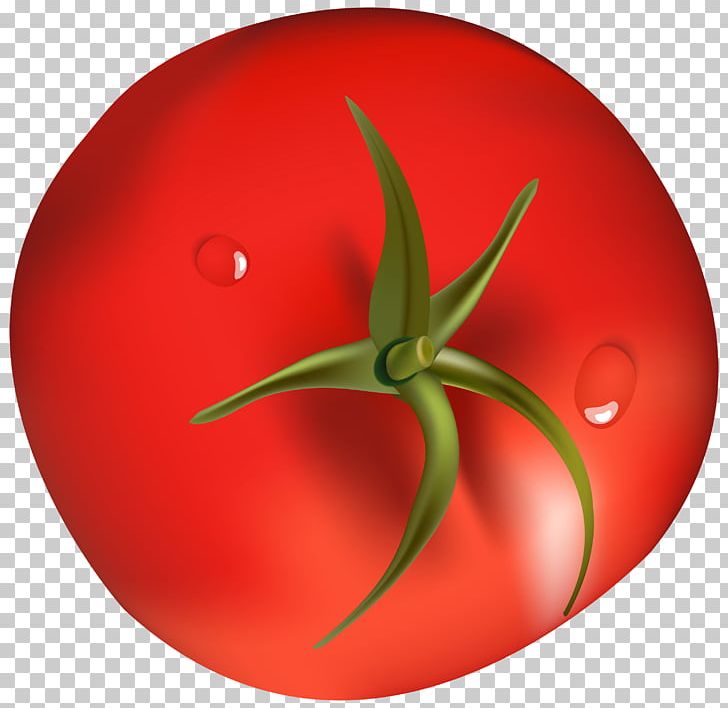 Tomato Vegetable Food PNG, Clipart, Circle, Food, Fruit, Nightshade, Nightshade Family Free PNG Download