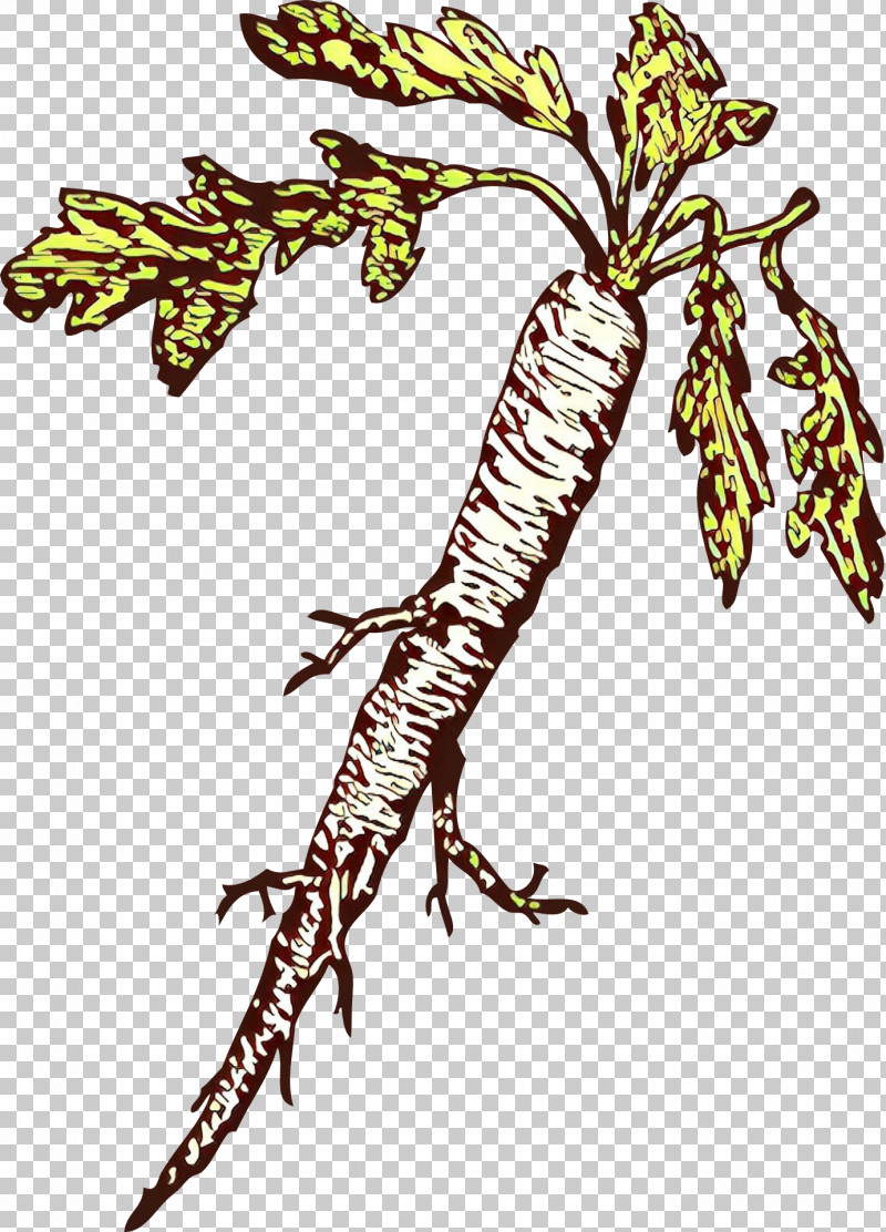 Plant Leaf Tree PNG, Clipart, Leaf, Plant, Tree Free PNG Download