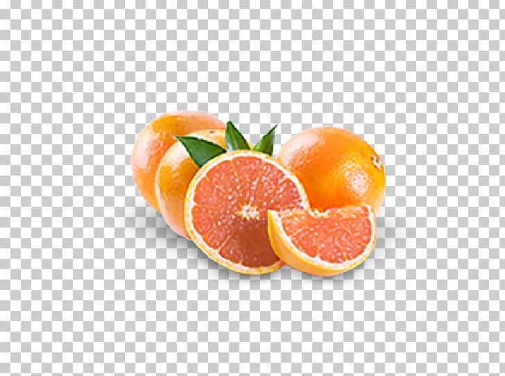 Clementine Grapefruit Tangerine Mandarin Orange Tangelo PNG, Clipart, Bitter Orange, Blood Orange, Citric Acid, Citrus, Citrus Sinensis Free PNG Download