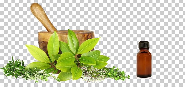Ayurveda Herbalism Medicine Therapy PNG, Clipart, Approach, Ayurveda, Bottle, Cure, Disease Free PNG Download