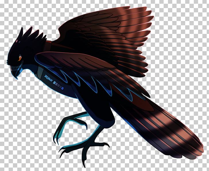Black Hawk-eagle Accipitridae Bird PNG, Clipart, Accipitridae, Animals, Art, Beak, Bird Free PNG Download