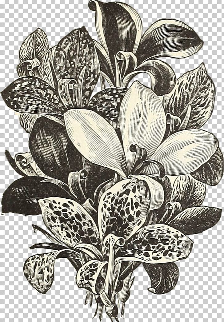 Flower Bouquet Beige Drawing PNG, Clipart, Beige, Black And White, Botanical Illustration, Drawing, Flora Free PNG Download
