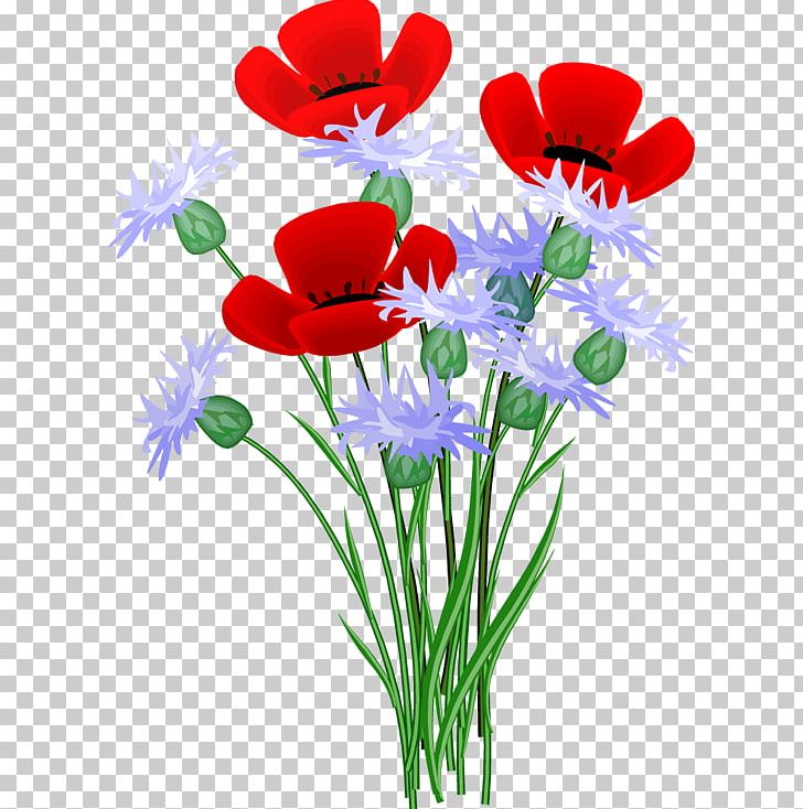 Flower Open Red GIF PNG, Clipart, Anemone, Annual Plant, Blue, Cut Flowers, Drawing Free PNG Download