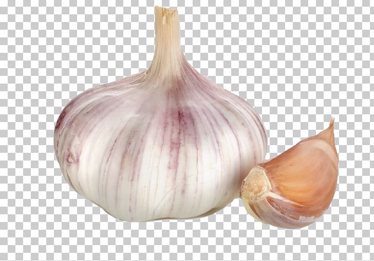 Garlic Calabaza Ajoblanco Chives Allium Fistulosum PNG, Clipart, Ajoblanco, Allium, Allium Fistulosum, Calabaza, Chives Free PNG Download