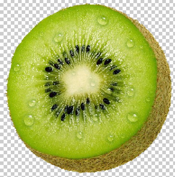 Kiwifruit Fruitcake Hardy Kiwi Drawing PNG, Clipart, Biscuits, Drawing, Food, Fruit, Fruitcake Free PNG Download