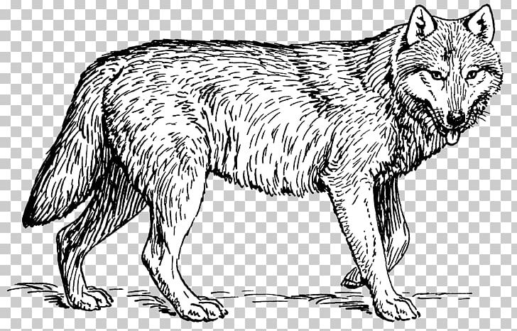 Puppy Arctic Wolf Coloring Book Pack PNG, Clipart, Adult, Animals, Arctic Wolf, Artwork, Black And White Free PNG Download
