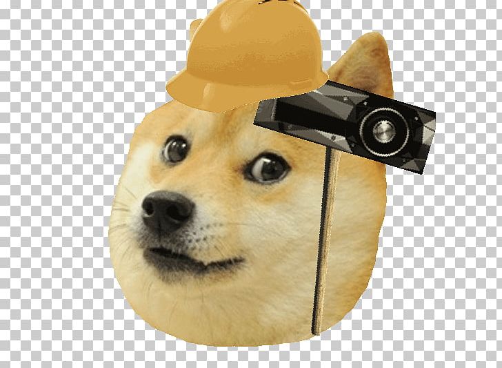 Shiba Inu Doge Snake Test Game Meme PNG, Clipart, Carnivoran, Coin, Companion Dog, Dog, Dog Breed Free PNG Download