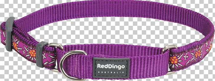 Clothing Accessories Dog Collar Watch Strap PNG, Clipart, Animals, Clothing Accessories, Collar, Dog, Dog Collar Free PNG Download