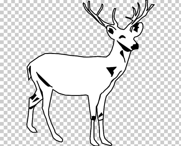 White-tailed Deer Moose Black And White PNG, Clipart, Antler, Black And White, Blog, Coloring Book, Deer Free PNG Download