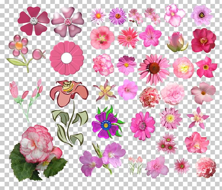 Cut Flowers Floral Design Pink PNG, Clipart, Annual Plant, Chrysanths, Cut Flowers, Flora, Floral Design Free PNG Download