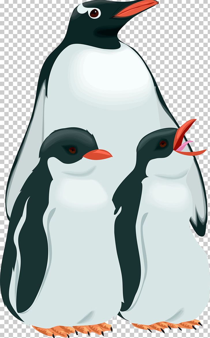 Penguin Bird PNG, Clipart, Animals, Beak, Bird, Child, Computer Icons Free PNG Download