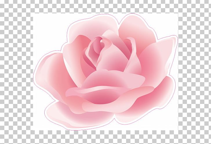 Flower Petal Garden Roses PNG, Clipart, Beach Rose, Download, Flower, Flowering Plant, Flower Petal Free PNG Download