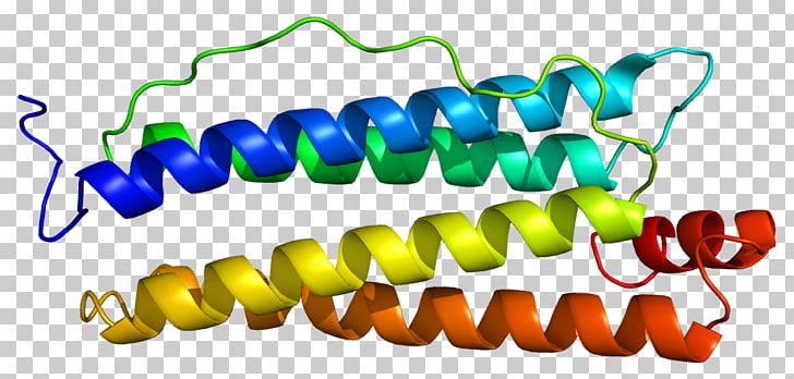 FTH1 Ferritin Protein Subunit Gene PNG, Clipart, Cei, Cell, Clu, Dna, Enzyme Free PNG Download