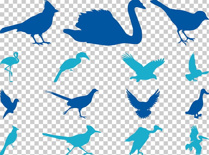 Bird Cygnini Sparrow Goose Beak PNG, Clipart, Animals, Bird, Bird Cage, Birds, Birds Vector Free PNG Download
