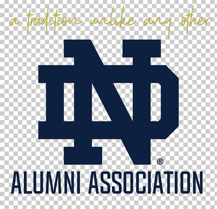 Rico Notre Dame Fighting Irish University Of Notre Dame Brand Under Armour Vehicle License Plates PNG, Clipart, Area, Blue, Brand, Dame, Hackerrank Free PNG Download
