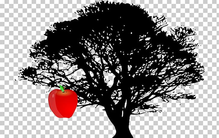Tree Drawing White Oak PNG, Clipart, Black And White, Branch, Drawing, Nature, Oak Free PNG Download