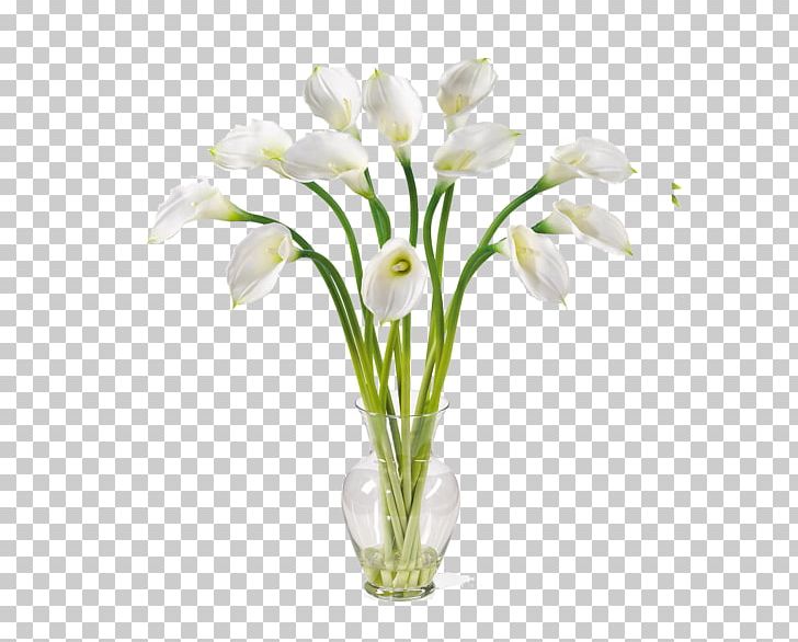 Arum-lily Artificial Flower Bog Arum PNG, Clipart, Artificial Flower, Arumlily, Bog Arum, Calla Lily, Cut Flowers Free PNG Download