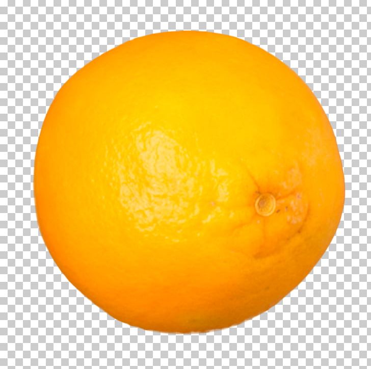 Citron Lemon Orange Citric Acid PNG, Clipart, Acid, Citric Acid, Citron, Citrus, Food Free PNG Download