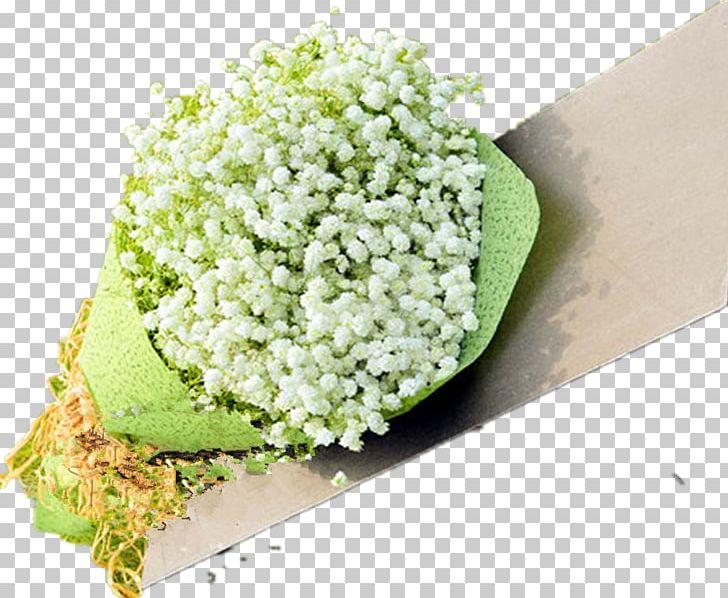 Nosegay White Green PNG, Clipart, Blomsterbutikk, Bouquet, Commodity, Computer Icons, Earth Globe Free PNG Download