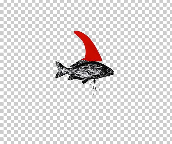 Shark Graphic Design Art Director Poster PNG, Clipart, Animal, Animals, Aquarium Fish, Art, Art Director Free PNG Download