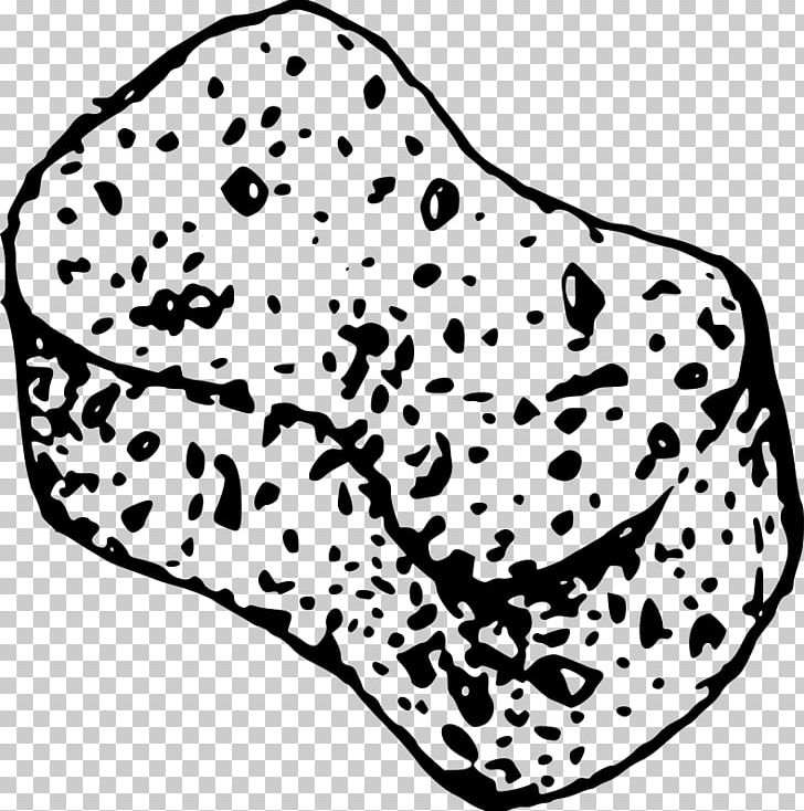Sponge Drawing PNG, Clipart, Black, Carnivoran, Cleaning, Computer, Computer Icons Free PNG Download