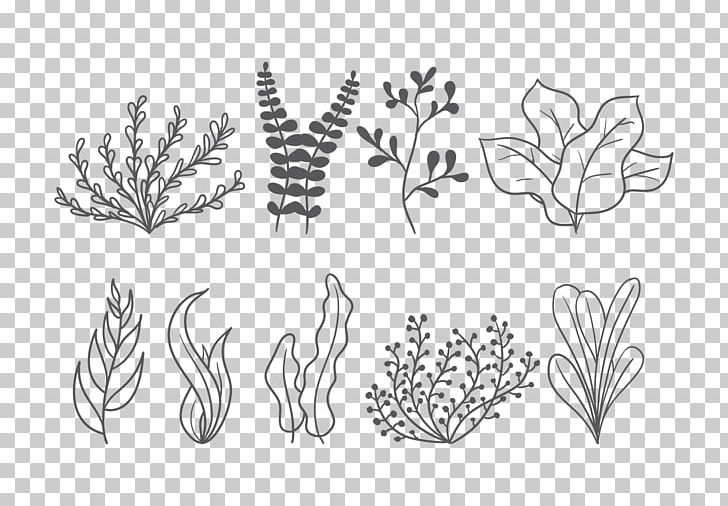 Drawing Visual Arts PNG, Clipart, Angle, Aquatic Plants, Area, Art, Black Free PNG Download