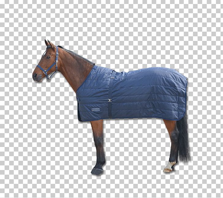 Horse Blanket Horse Blanket Equestrian Rein PNG, Clipart, Animals, Blank, Bridle, Duvet, Equestrian Free PNG Download