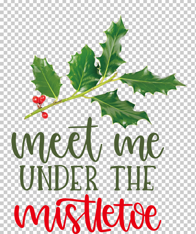 Meet Me Under The Mistletoe Mistletoe PNG, Clipart, Aquifoliaceae, Aquifoliales, Biology, Branching, Holly Free PNG Download