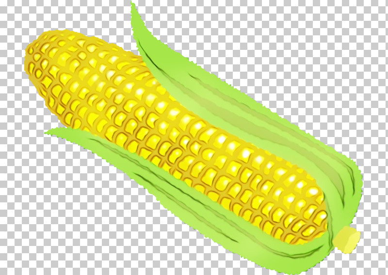 Corn On The Cob Commodity Kitchen Mail Order 泡立ちクロススポンジ 大判サイズ 不思議な スポンジ クロス 食器 プラスチック製品 シリコン容器 キッチン 食器 洗い 台所 ふきん PNG, Clipart, Commodity, Comparison Shopping Website, Cookware And Bakeware, Corn Kernel, Corn On The Cob Free PNG Download