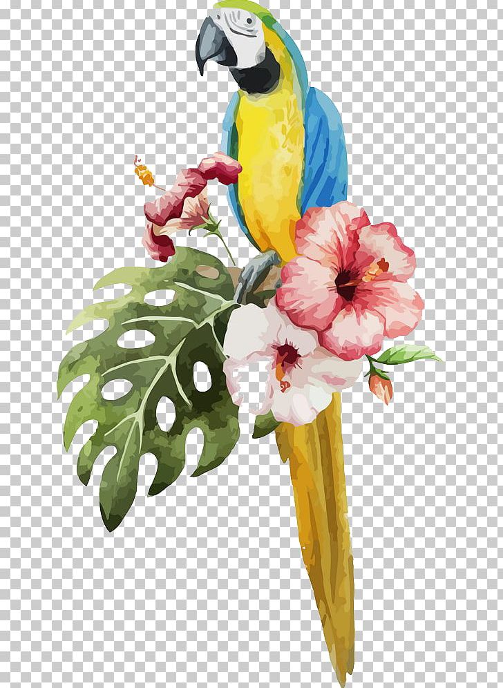 Parrot Bird Watercolor Painting Illustration PNG, Clipart, Art, Beak, Common Pet Parakeet, Drawing, Feather Free PNG Download