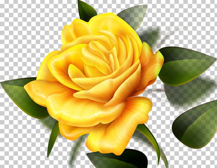 Rose Yellow Flower Desktop Color PNG, Clipart, Color, Computer, Cut Flowers, Desktop Wallpaper, Floral Design Free PNG Download