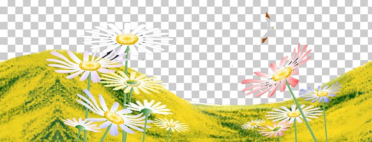 Yellow Floral Design Illustration PNG, Clipart, Chrysanthemum, Chrysanthemum Chrysanthemum, Chrysanthemums, Computer, Computer Wallpaper Free PNG Download