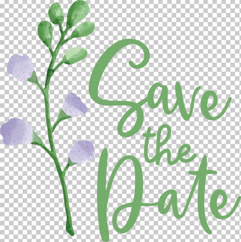 Floral Design PNG, Clipart, Floral Design, Green, Leaf, Line, Logo Free PNG Download