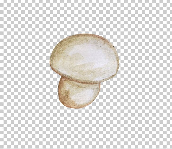 Pleurotus Eryngii Mushroom Shiitake Painting PNG, Clipart, Designer, Diagram, Drawing, Edible Mushroom, Euclidean Vector Free PNG Download
