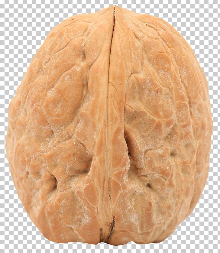 Walnut PNG, Clipart, Walnut Free PNG Download