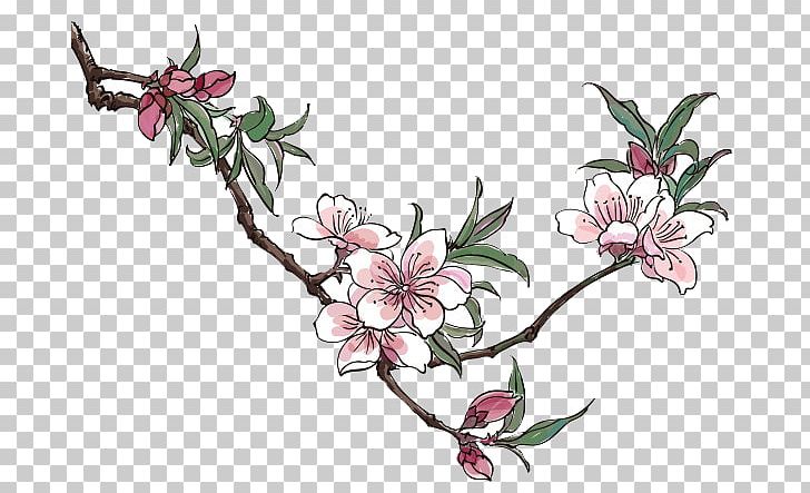 Peach Blossom Drawing PNG, Clipart, Branch, Cartoon, Cartoon Character, Cartoon Cloud, Cartoon Eyes Free PNG Download