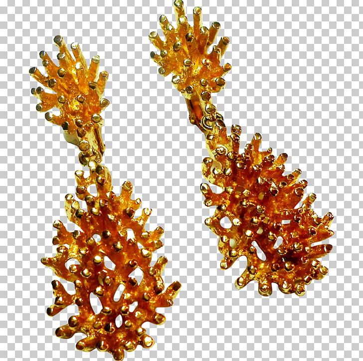 Jewellery Amber PNG, Clipart, Amber, Jewellery, Miscellaneous, Nugget Free PNG Download