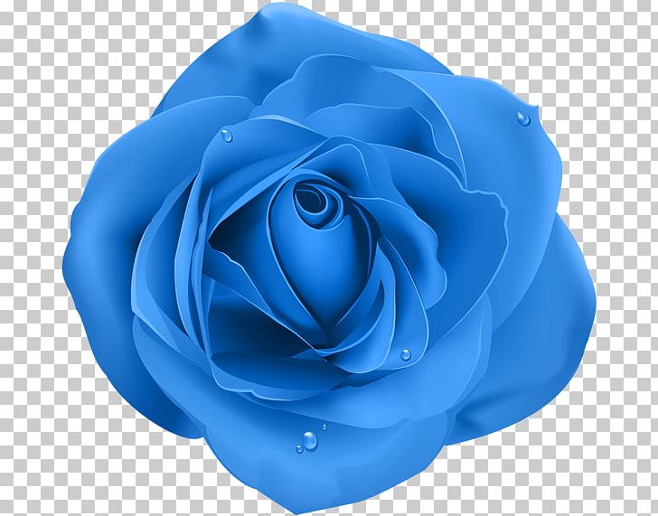 Rose Purple Desktop PNG, Clipart, Azure, Blue, Blue Rose, Cobalt Blue, Cut Flowers Free PNG Download